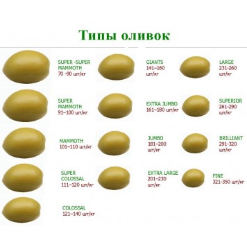 Masline negre GIGANT 70/90  S.S Mammouth   (conservate)-2